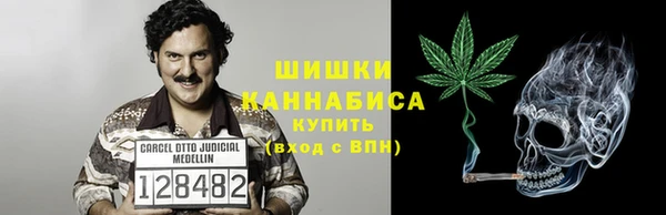 ECSTASY Абаза