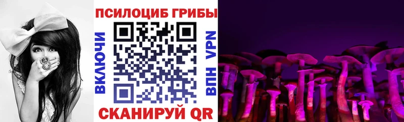Галлюциногенные грибы GOLDEN TEACHER  закладка  Ростов-на-Дону 